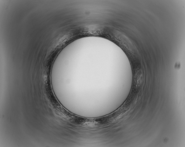 X0000097300595200802291815