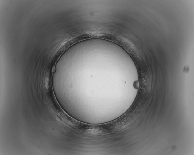 X0000097300596200802291815