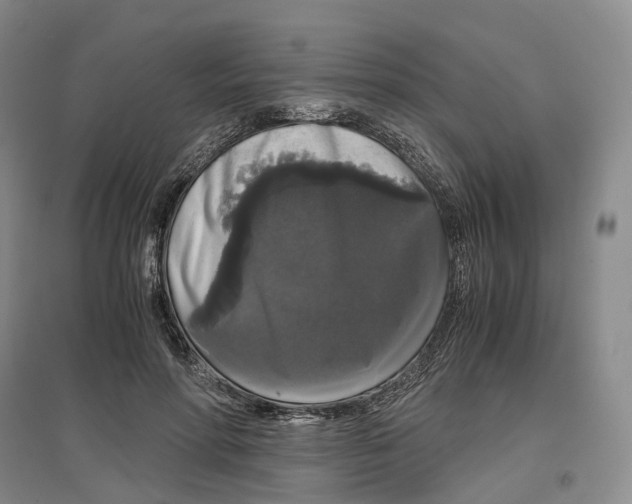 X0000097300598200802291815