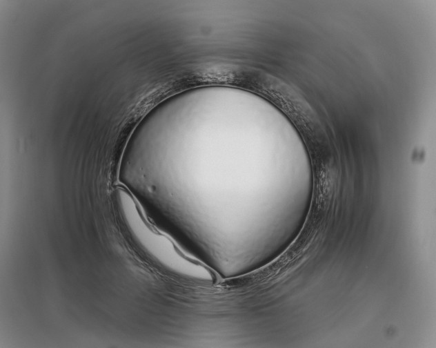 X0000097300600200802291815