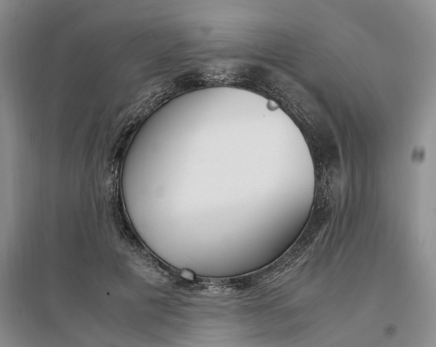 X0000097300601200802291815