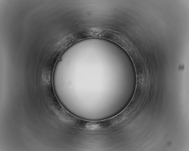 X0000097300602200802291815