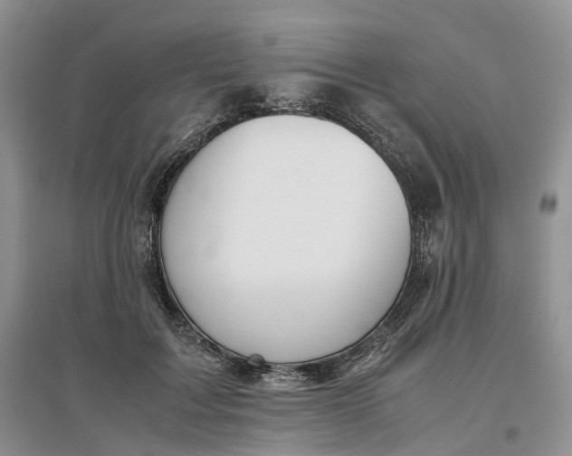 X0000097300603200802291815