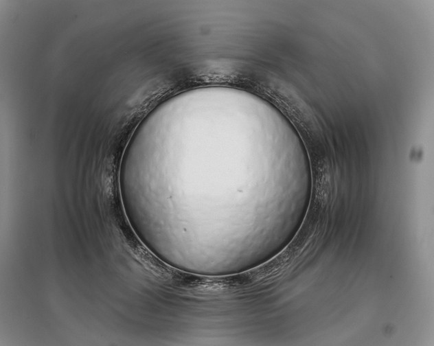 X0000097300604200802291815