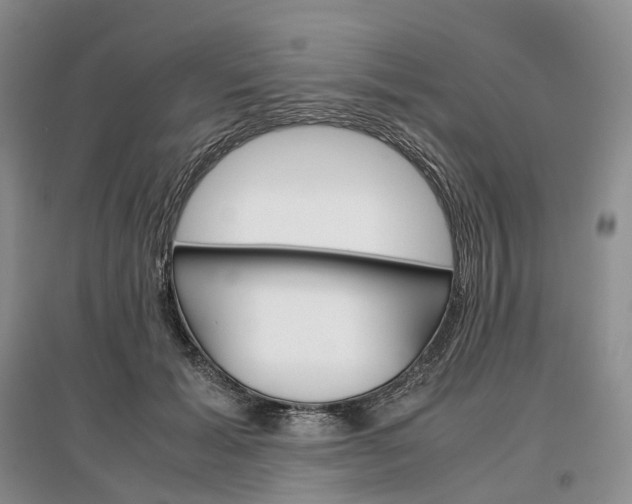 X0000097300605200802291815