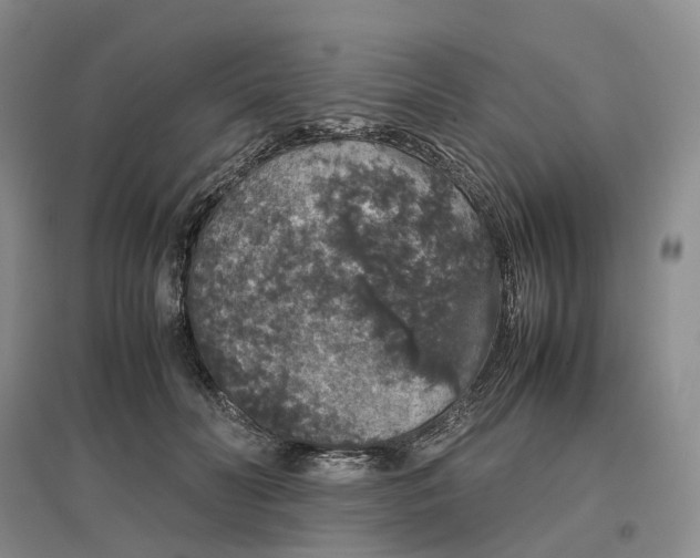 X0000097300606200802291815