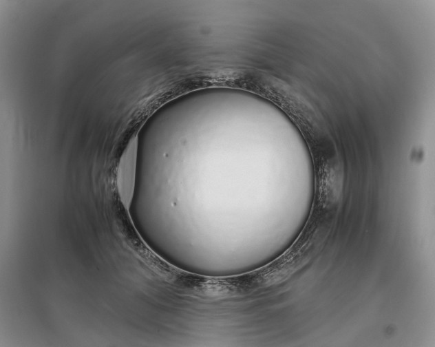 X0000097300608200802291815