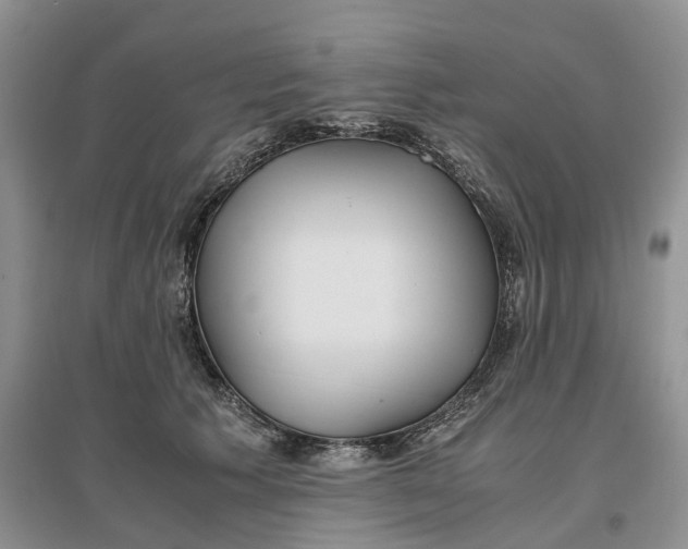 X0000097300609200802291815