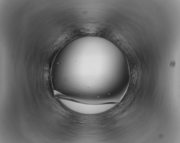 X0000097300612200802291815