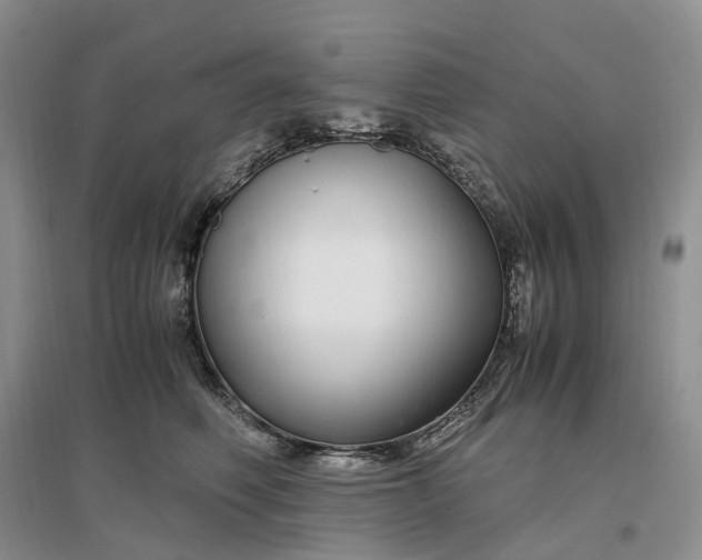 X0000097300614200802291815