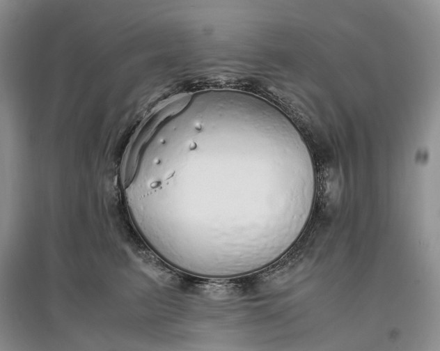 X0000097300615200802291815