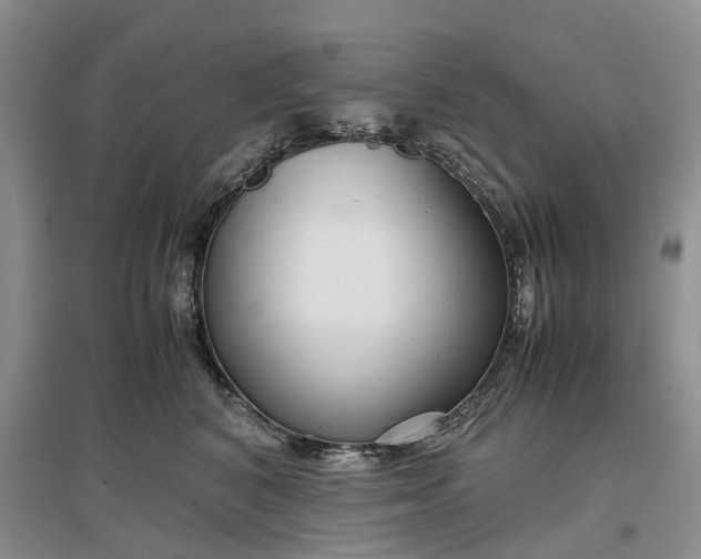 X0000097300616200802291815