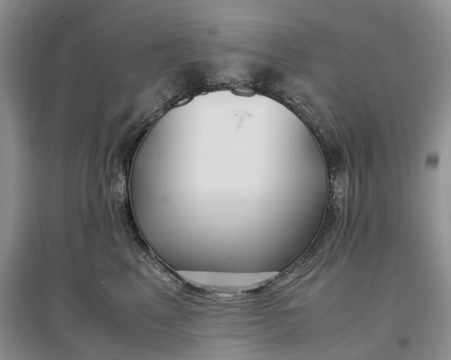 X0000097300617200802291815