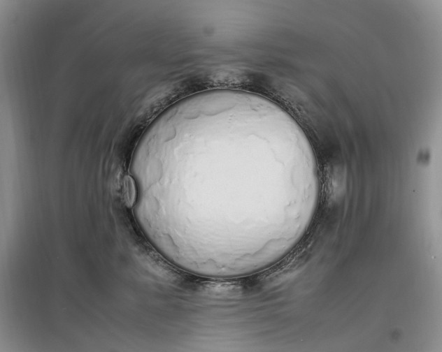 X0000097300619200802291815