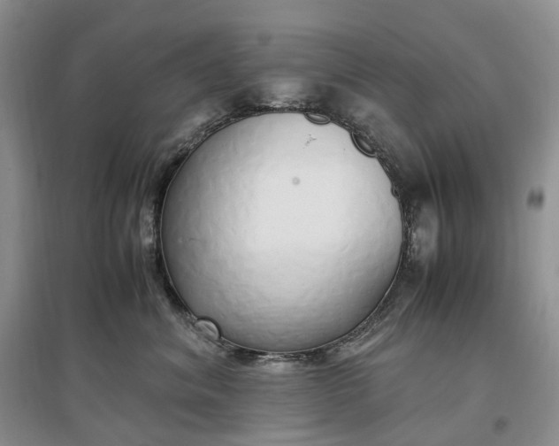 X0000097300620200802291815