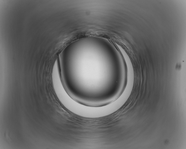 X0000097300621200802291815