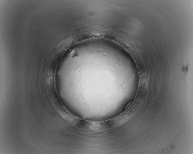 X0000097300623200802291815