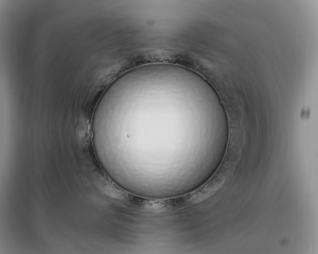 X0000097300624200802291815