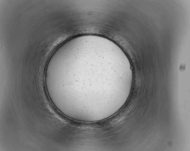 X0000097300625200802291814