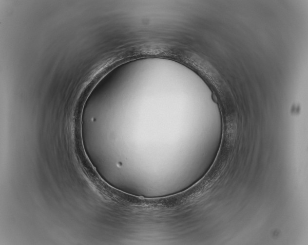 X0000097300626200802291814