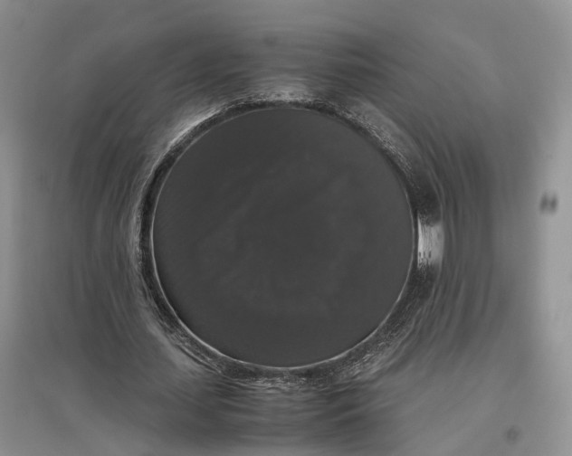 X0000097300627200802291814