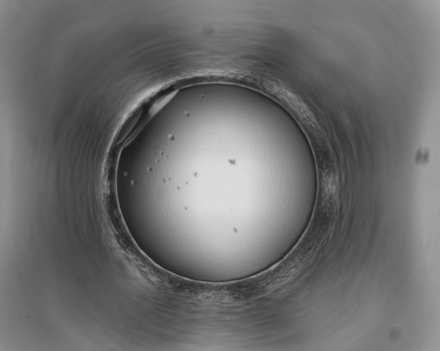 X0000097300628200802291814