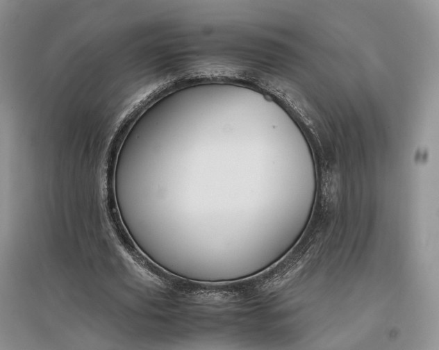 X0000097300629200802291814