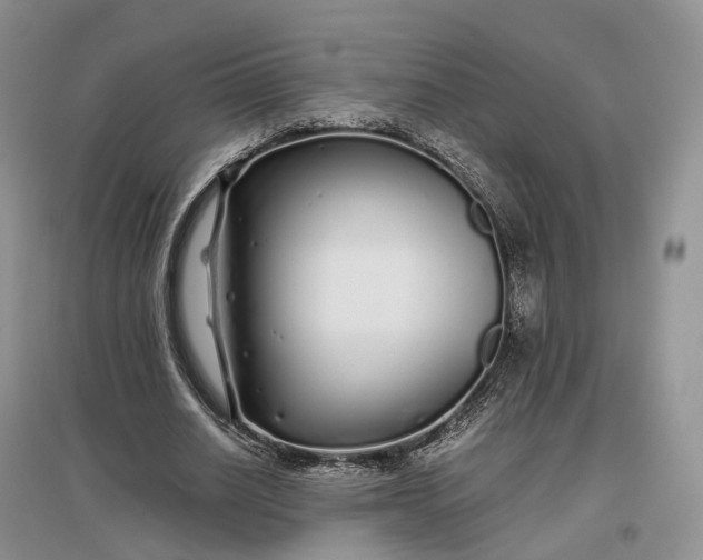 X0000097300630200802291814