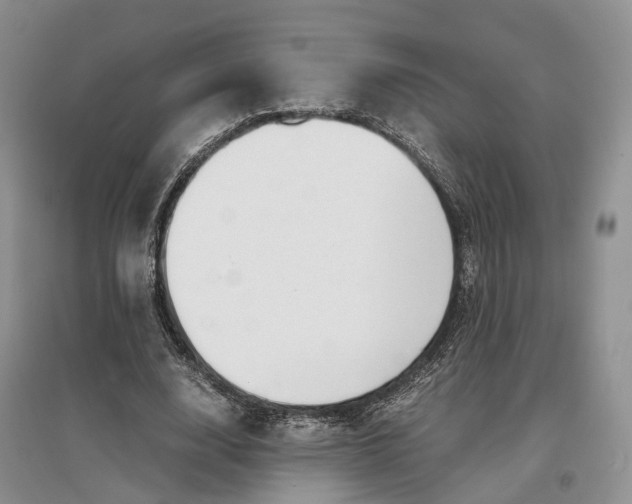 X0000097300632200802291814