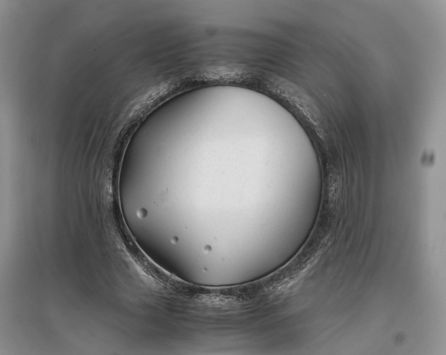 X0000097300633200802291814