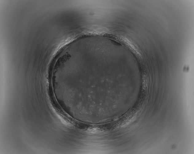 X0000097300634200802291814