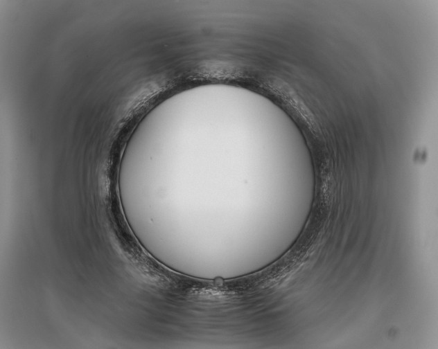 X0000097300635200802291814