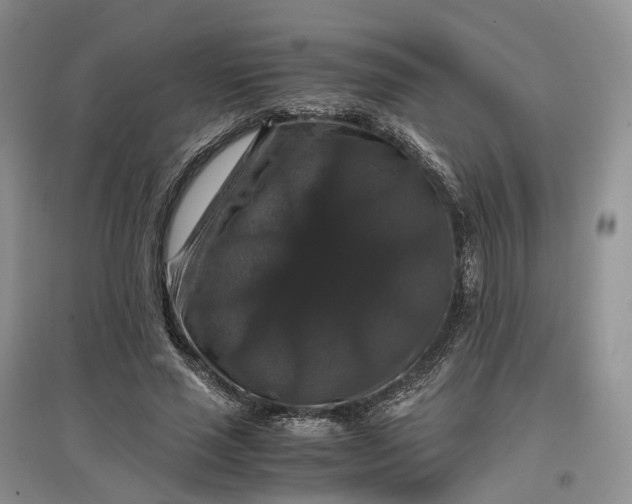 X0000097300637200802291814