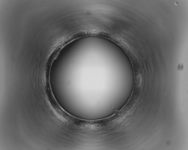 X0000097300638200802291814