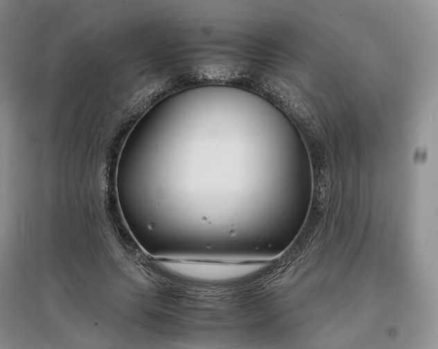 X0000097300639200802291814