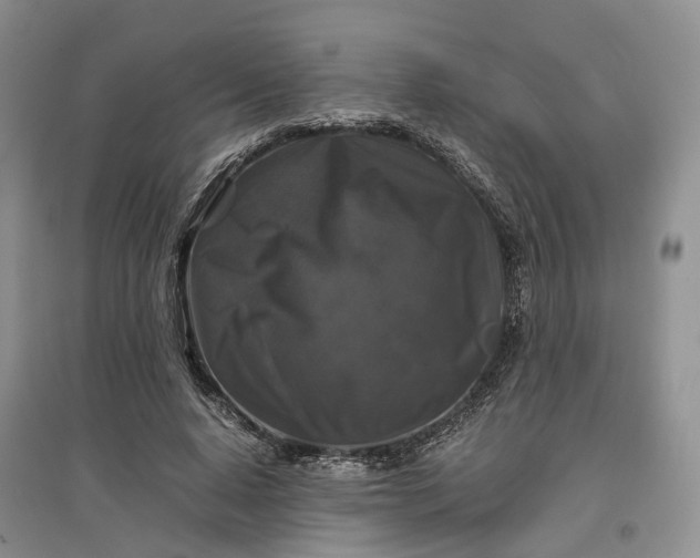 X0000097300640200802291814