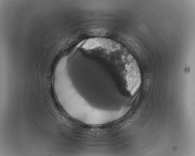 X0000097300641200802291814