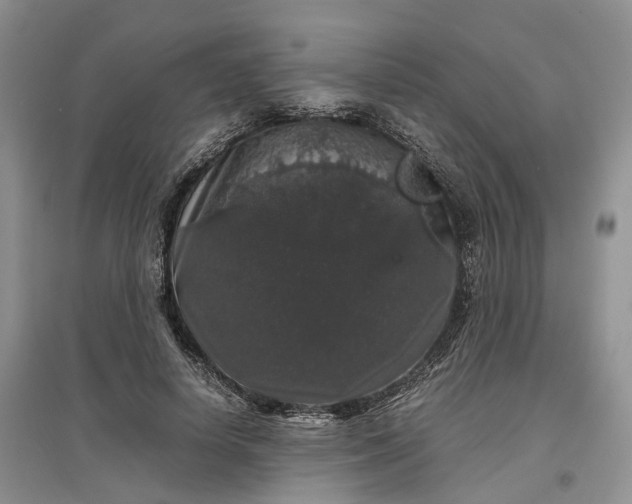 X0000097300642200802291814