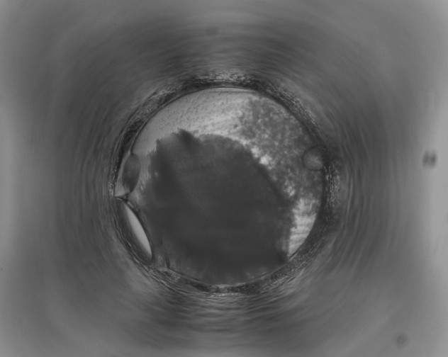 X0000097300643200802291814