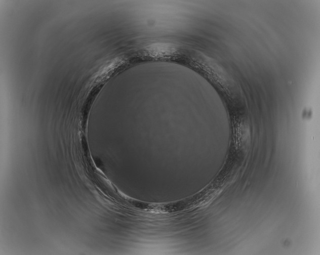 X0000097300644200802291814