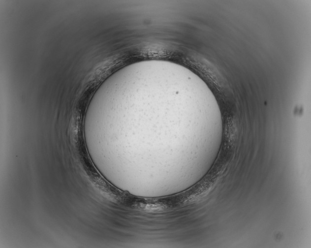 X0000097300645200802291814