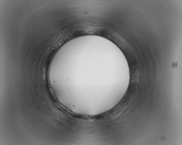 X0000097300646200802291814