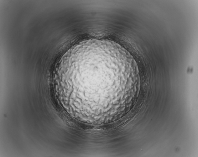 X0000097300647200802291814