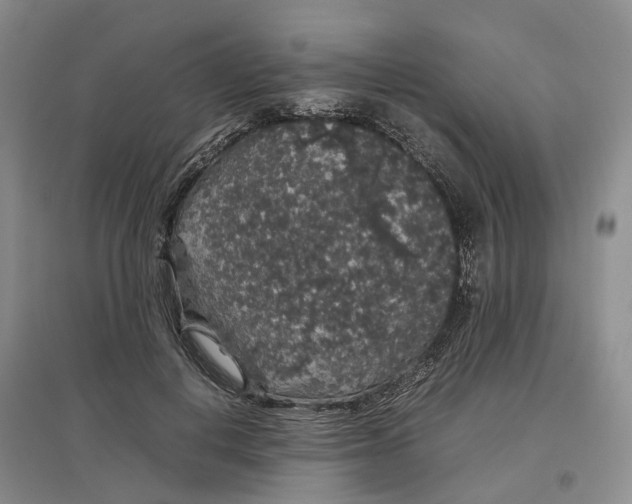 X0000097300648200802291814