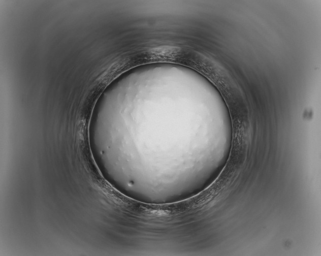 X0000097300649200802291814