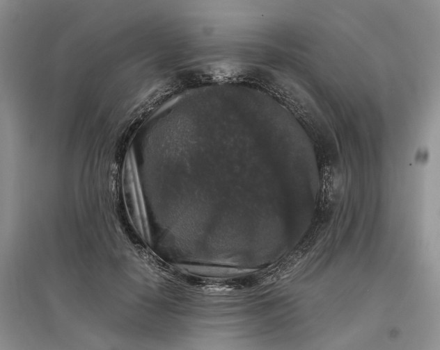 X0000097300650200802291814