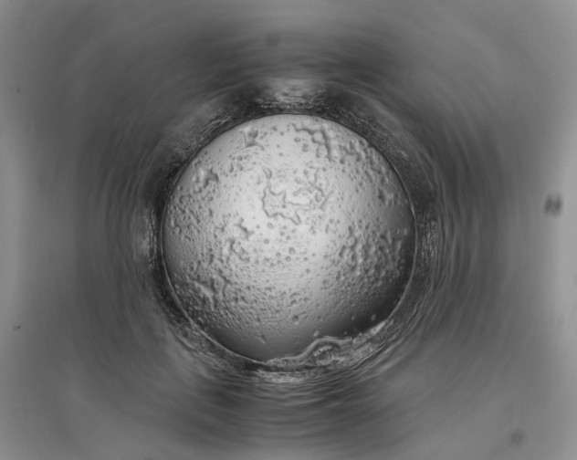 X0000097300651200802291814