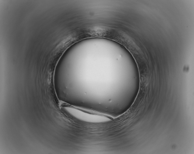 X0000097300652200802291814