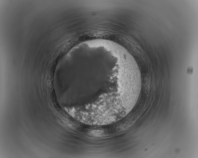 X0000097300653200802291814