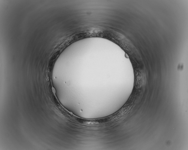 X0000097300654200802291814